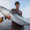 Lebih Mengenal Fakta dan Manfaat Seputar Ikan Tenggiri