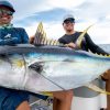 Ketahui Jenis-Jenis Ikan Tuna Ini Sebelum Memancing!