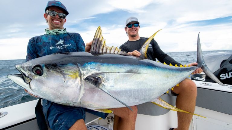 Ketahui Jenis-Jenis Ikan Tuna Ini Sebelum Memancing!