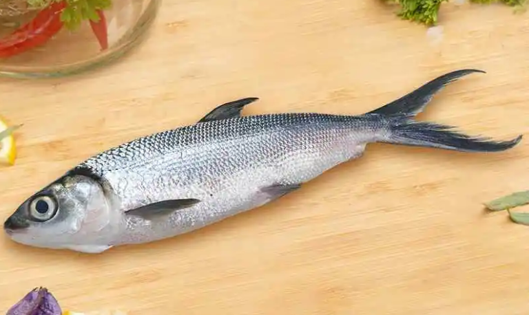 Memancing ikan bandeng sekaligus memasaknya.