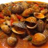 Kerang dara enak dimakan dan ada manfaatnya untuk Tubuh